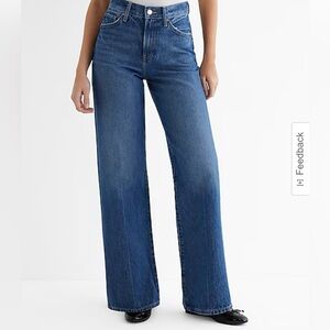 Express Wide Leg Palazzo Jeans